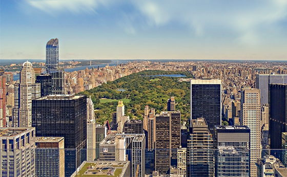 Imagem de NY com destaque no central parque